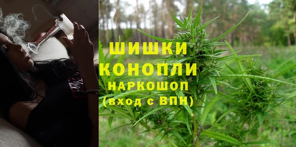 гашик Семилуки