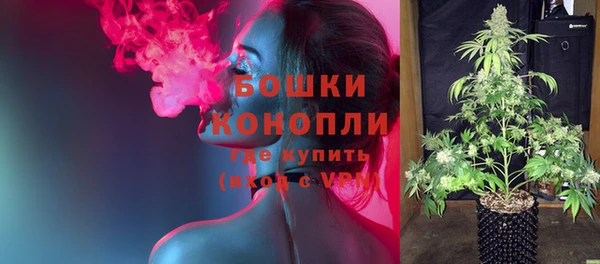 гашик Семилуки