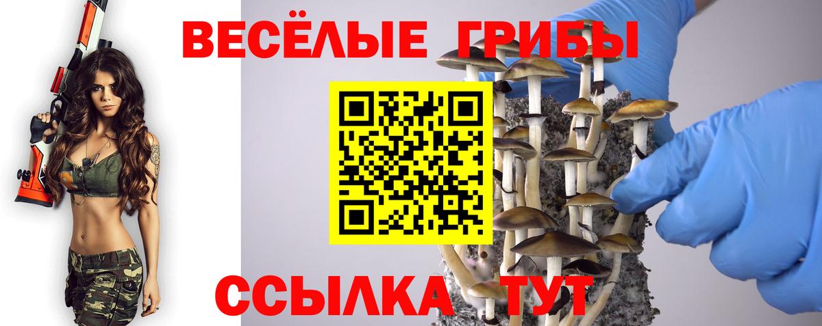Галлюциногенные грибы мицелий Ишимбай